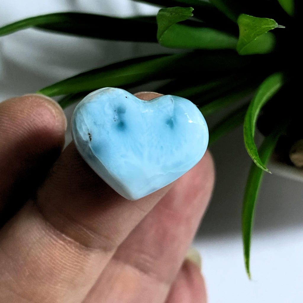 Cute Blue Larimar Dainty Heart Carving~ Locality: Dominican Republic #1 - Earth Family Crystals