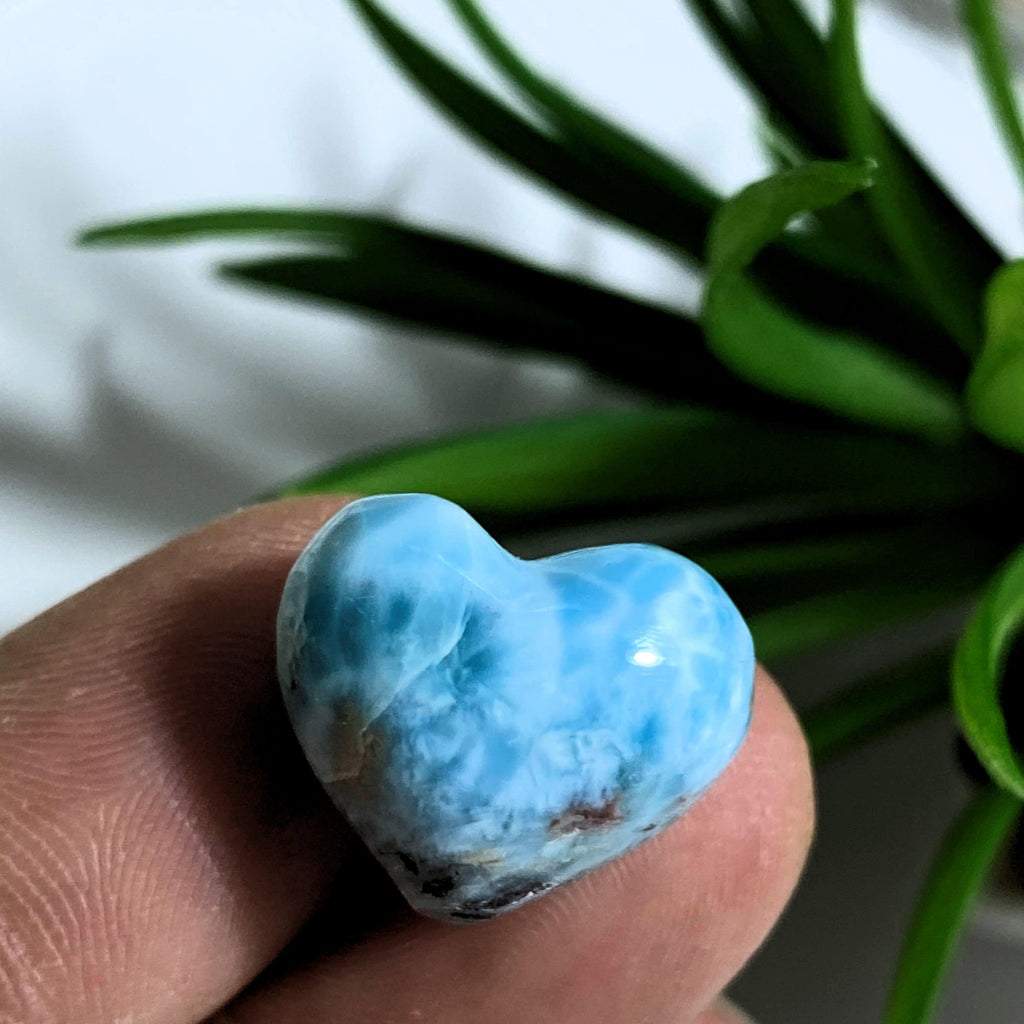 Cute Blue Larimar Dainty Heart Carving~ Locality: Dominican Republic #2 - Earth Family Crystals