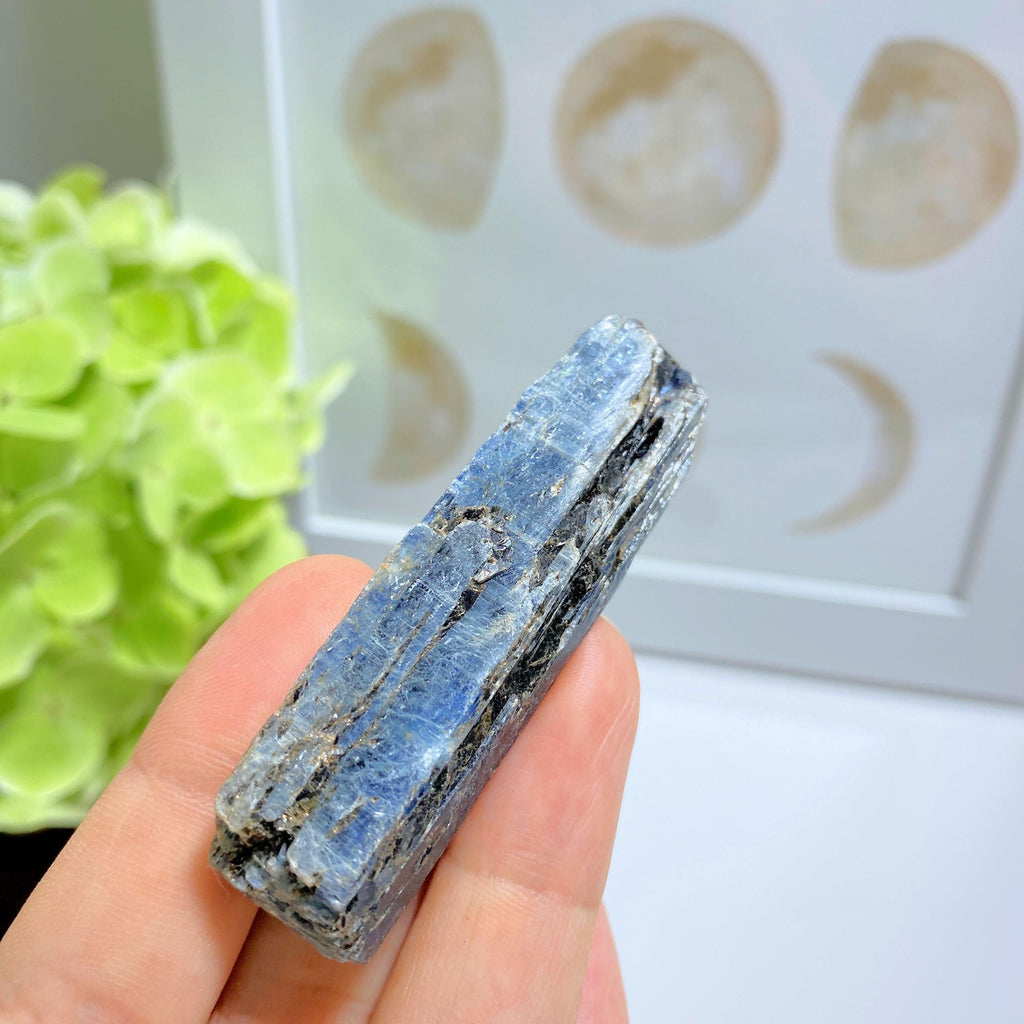 Gemmy Deep Blue Kyanite Raw Point ~Locality Zimbabwe #2 - Earth Family Crystals