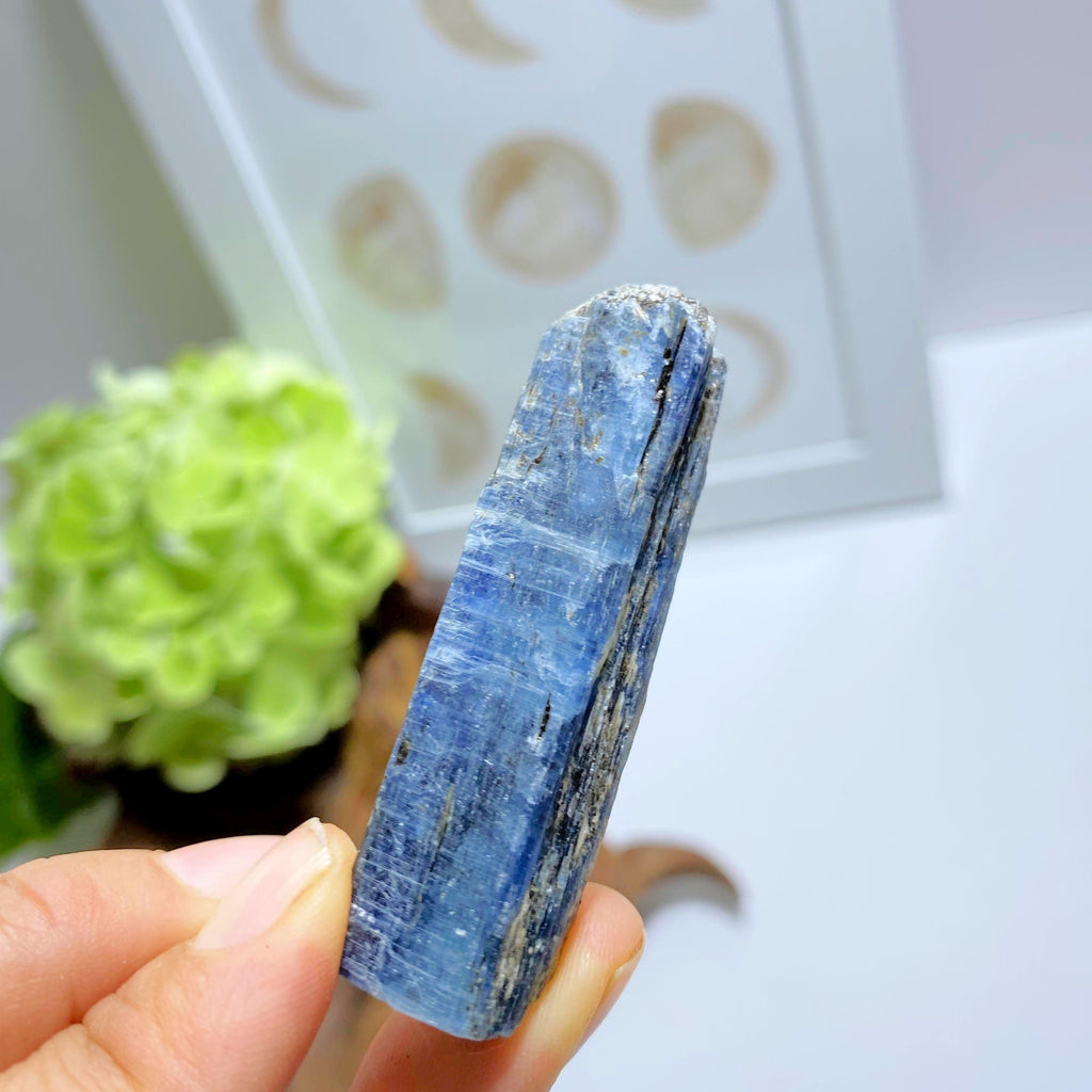 Gemmy Deep Blue Kyanite Raw Point ~Locality Zimbabwe #2 - Earth Family Crystals