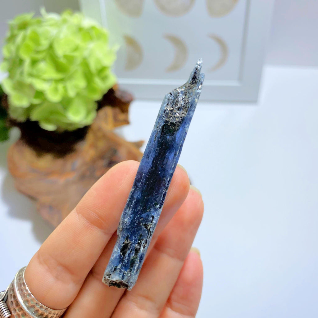 High Grade Gemmy Deep Blue Kyanite Raw Point ~Locality Zimbabwe #3 - Earth Family Crystals