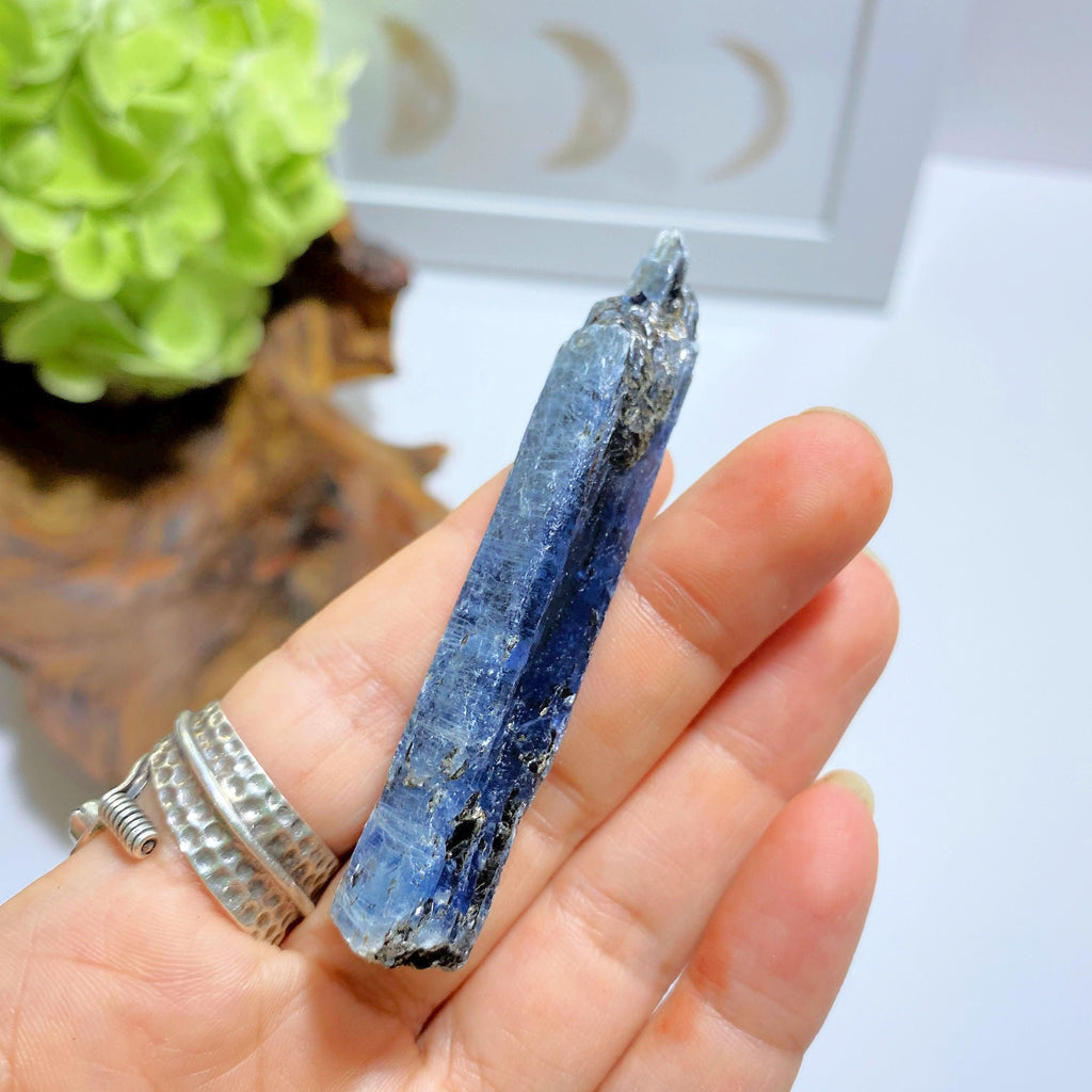 High Grade Gemmy Deep Blue Kyanite Raw Point ~Locality Zimbabwe #3 - Earth Family Crystals