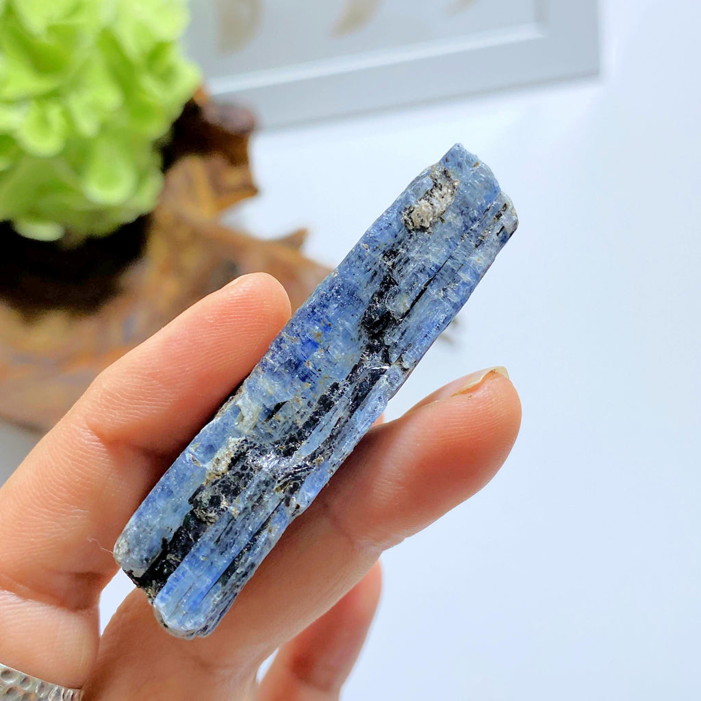 Gemmy Deep Blue Kyanite Raw Point ~Locality Zimbabwe #4 - Earth Family Crystals