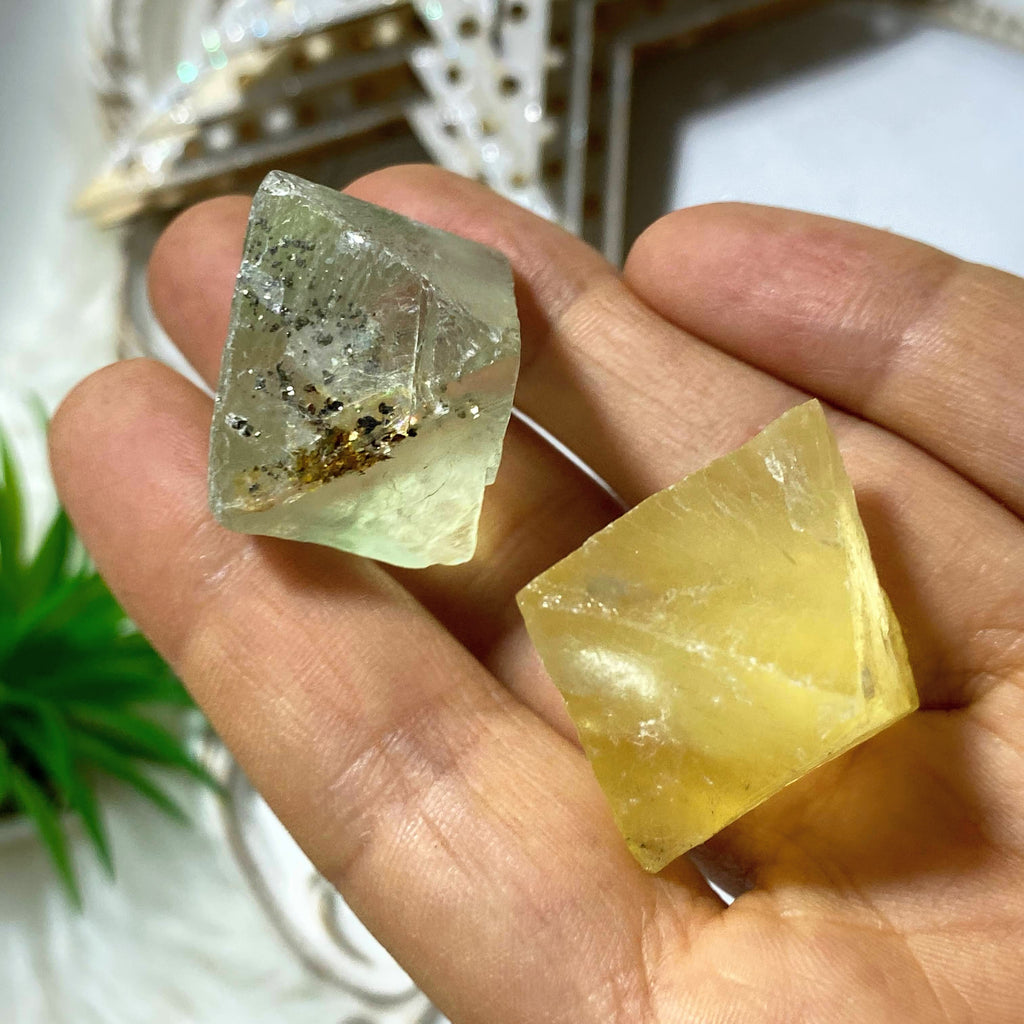 Set of 2! Rare & Unusual Green Fluorite with Pyrite Inclusions & Yellow Fluorite Octahedron Specimens - Earth Family Crystals
