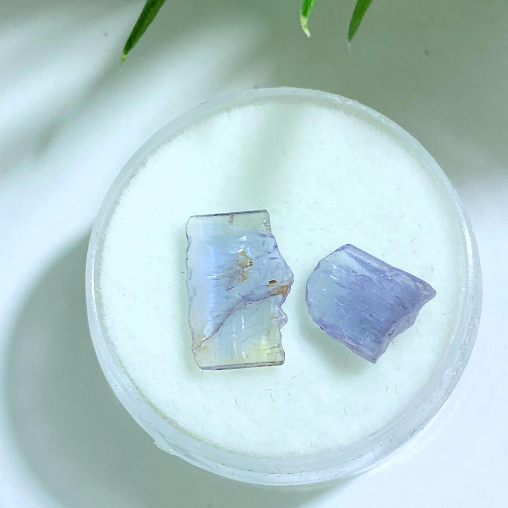 Set of 2 Natural Gemmy Tanzanite Dainty Points in Collectors Box from Tanzania - Earth Family Crystals