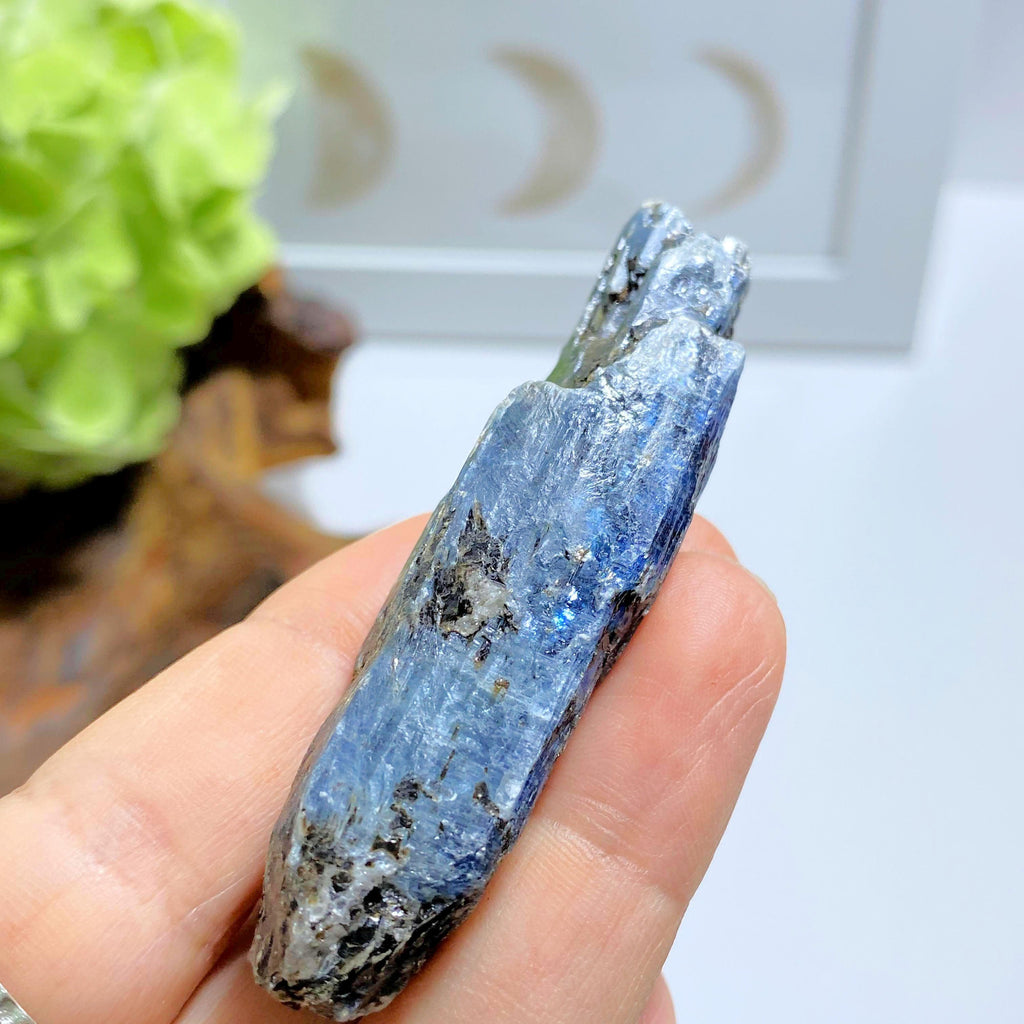 High Grade Gemmy Deep Blue Kyanite Raw Point ~Locality Zimbabwe #5 - Earth Family Crystals