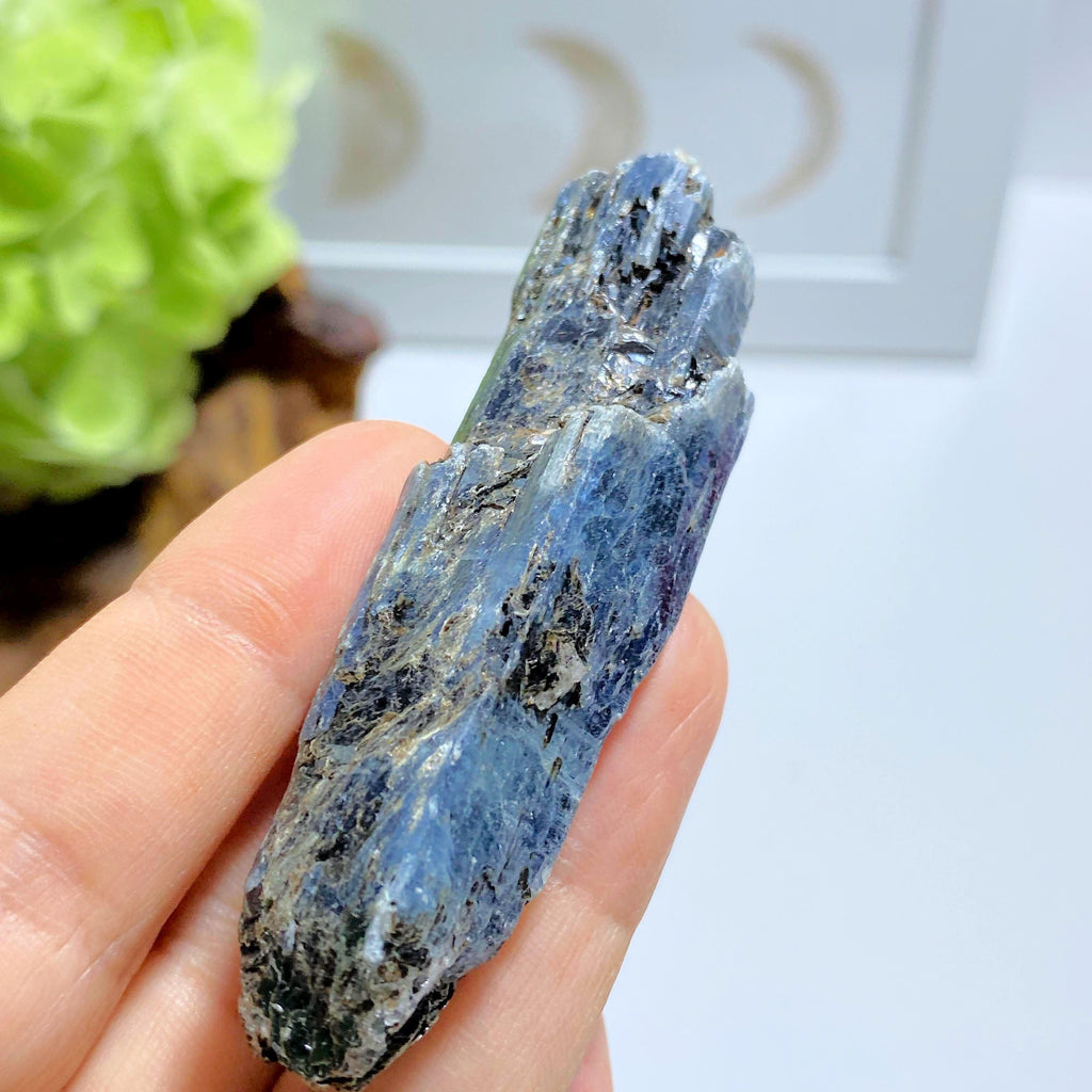 High Grade Gemmy Deep Blue Kyanite Raw Point ~Locality Zimbabwe #5 - Earth Family Crystals