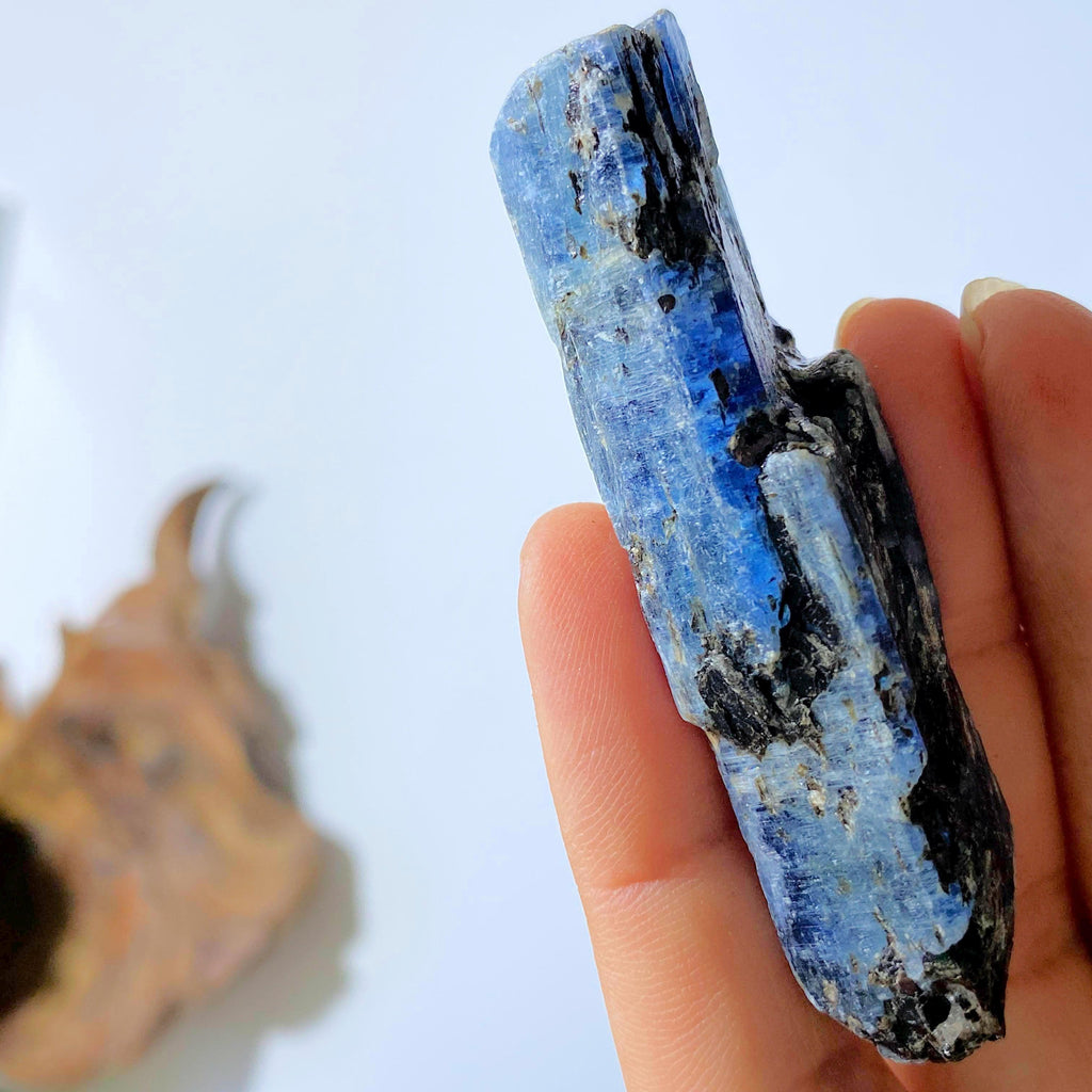 High Grade Gemmy Deep Blue Kyanite Raw Point ~Locality Zimbabwe #5 - Earth Family Crystals