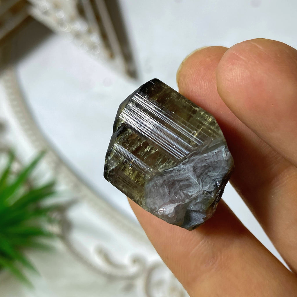 68ct ~Rare Watermelon Tourmaline Terminated Black Tip Natural Collectors Point From Brazil - Earth Family Crystals