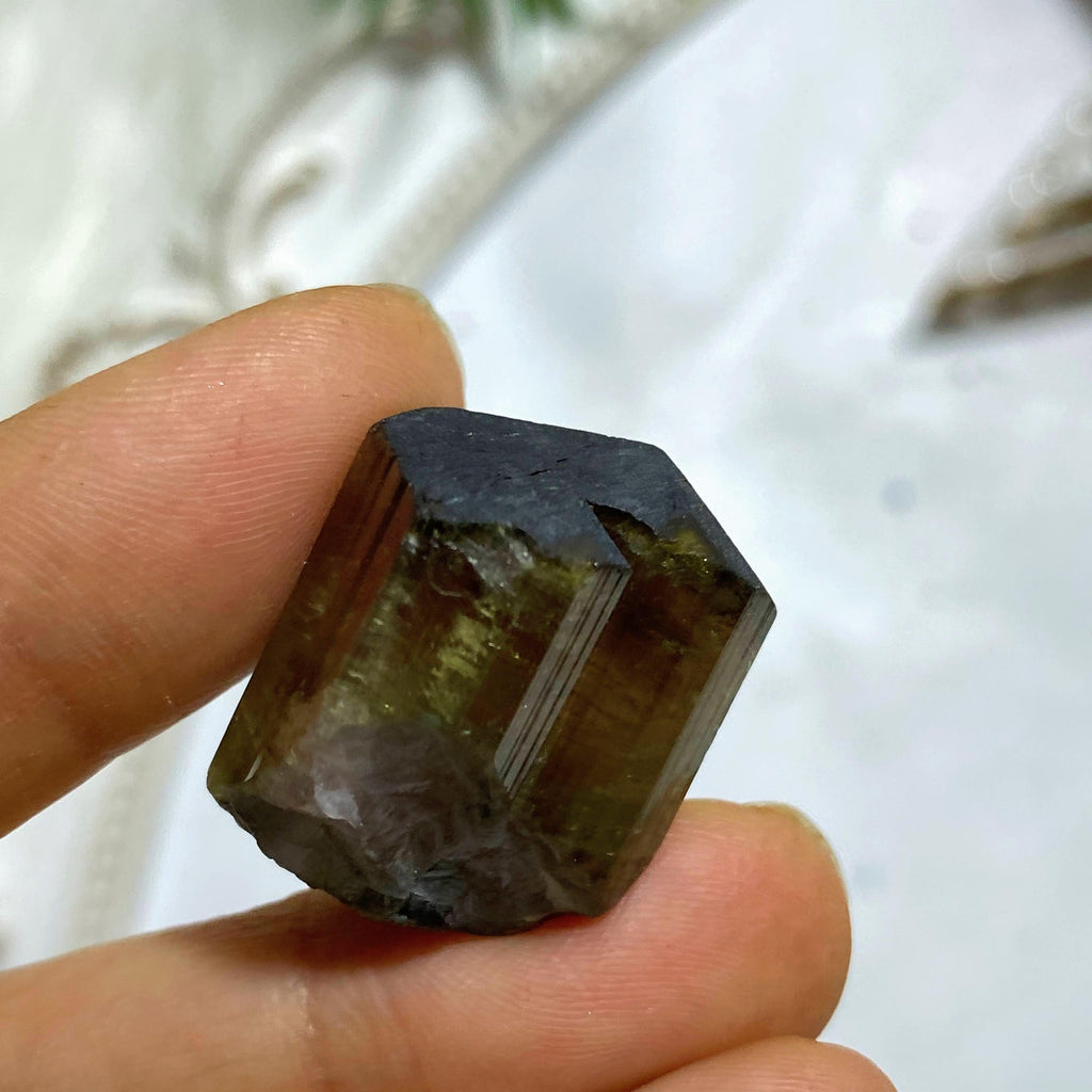 68ct ~Rare Watermelon Tourmaline Terminated Black Tip Natural Collectors Point From Brazil - Earth Family Crystals
