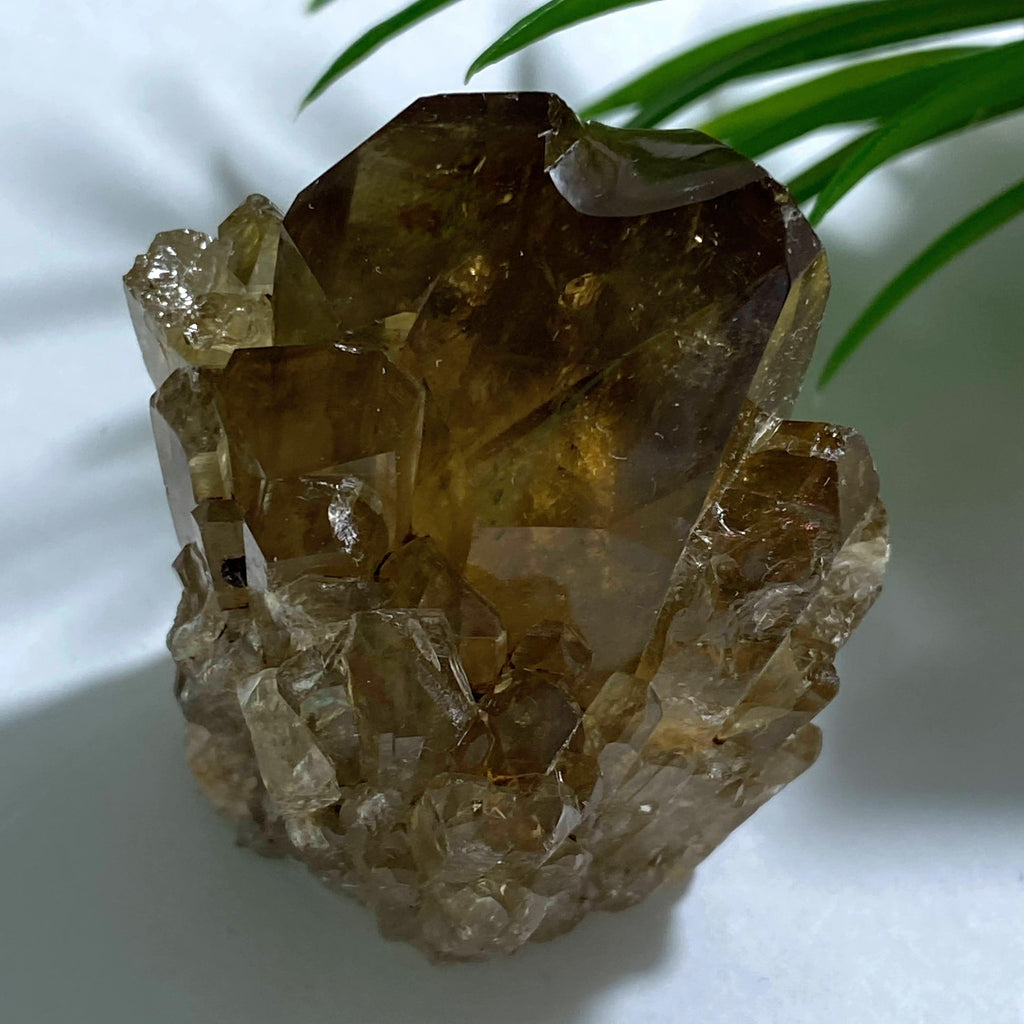 Natural Citrine Elestial Kundalini Standing Point- Locality: Congo - Earth Family Crystals