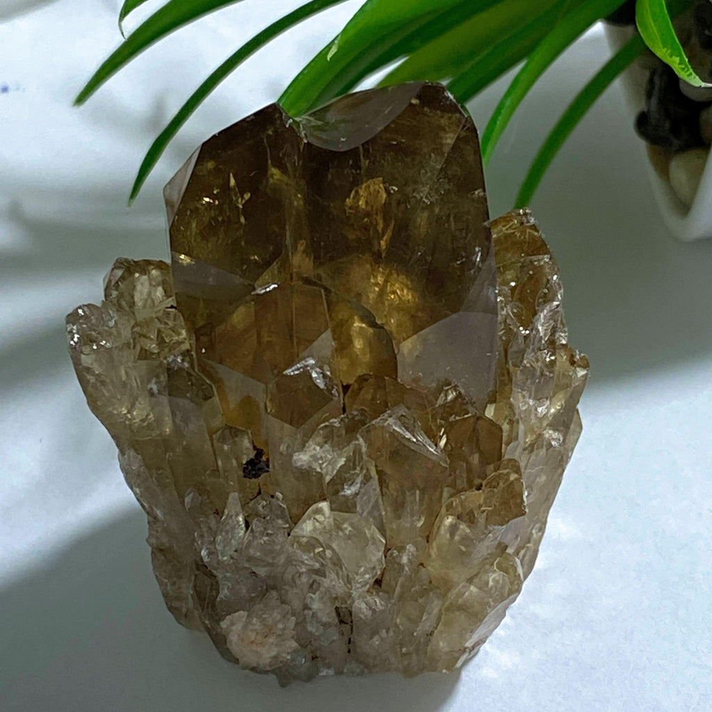 Natural Citrine Elestial Kundalini Standing Point- Locality: Congo - Earth Family Crystals