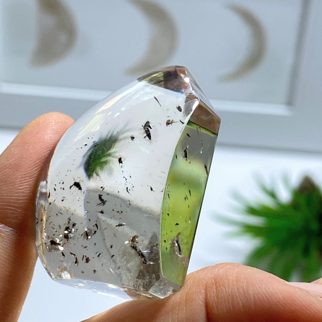 AA Grade Ultra Clear Quartz With Floating Inclusions Standing Freeform~Locality Brazil - Earth Family Crystals