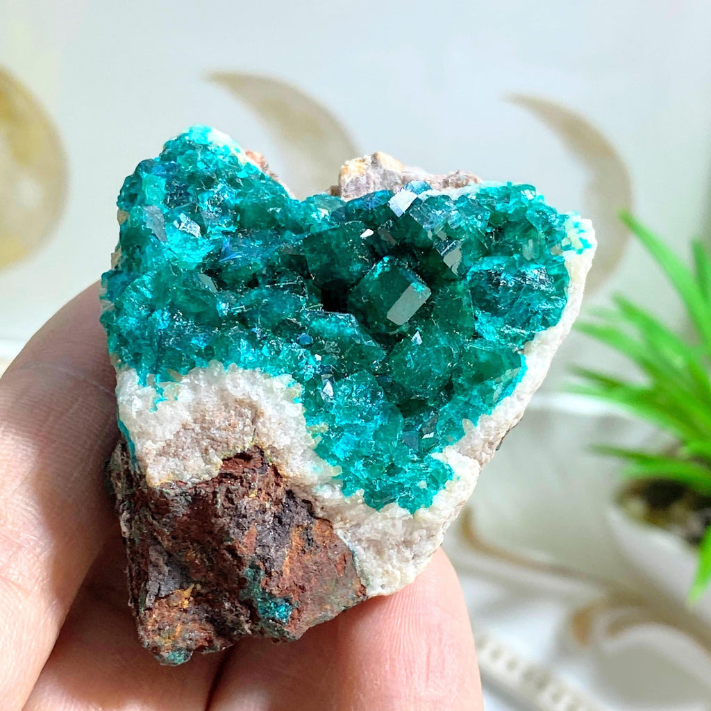 Incredible & Rare Natural Gemmy Dioptase Specimen ~Locality: Tsumeb, Namibia - Earth Family Crystals