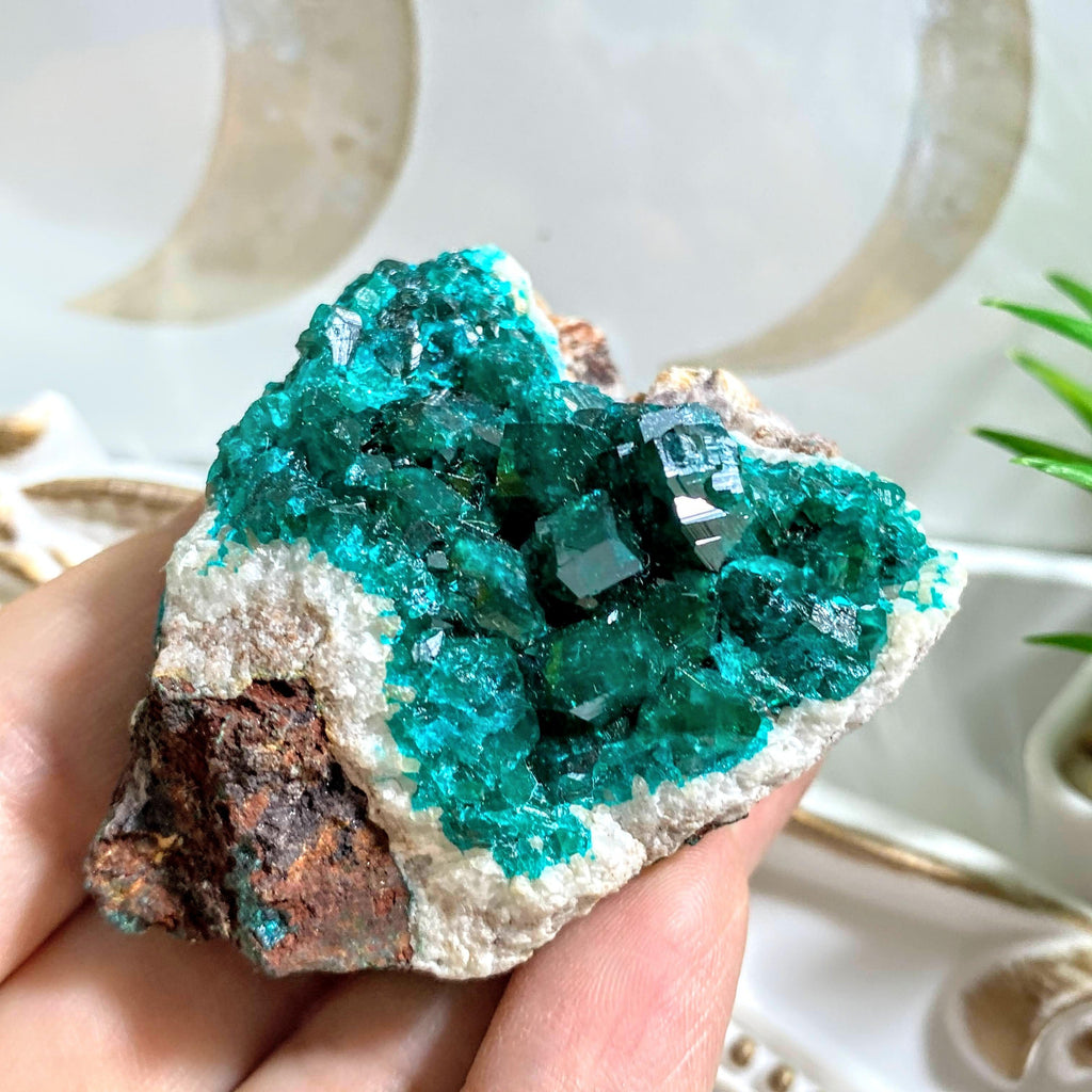 Incredible & Rare Natural Gemmy Dioptase Specimen ~Locality: Tsumeb, Namibia - Earth Family Crystals