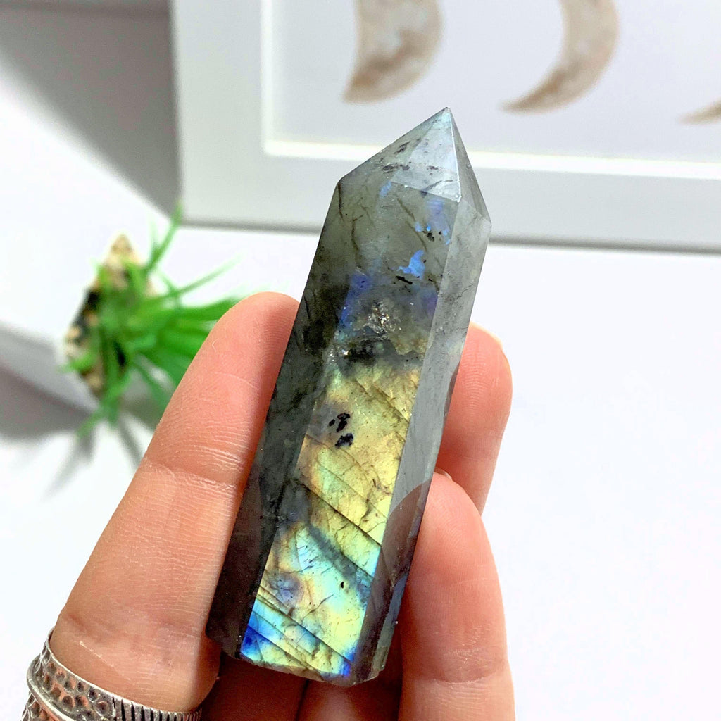Pretty Flashes Labradorite Standing Point - Earth Family Crystals