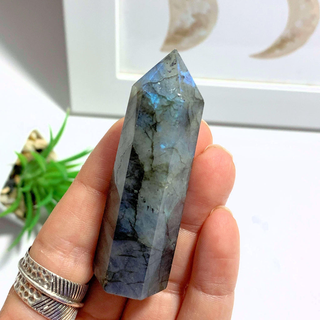 Pretty Flashes Labradorite Standing Point - Earth Family Crystals