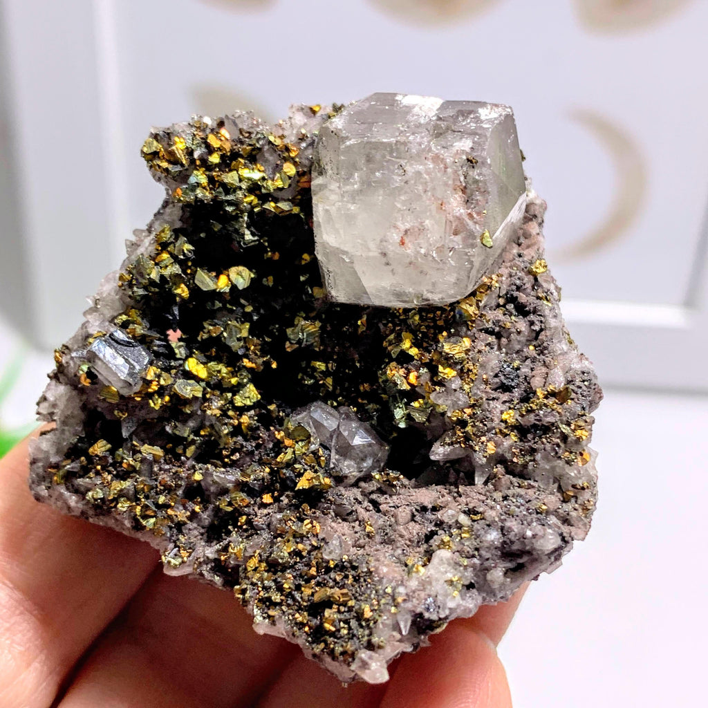 Collectors Specimen~Chalcopyrite & Calcite Cluster From Pea Ridge Mine, Sullivan, Missouri - Earth Family Crystals