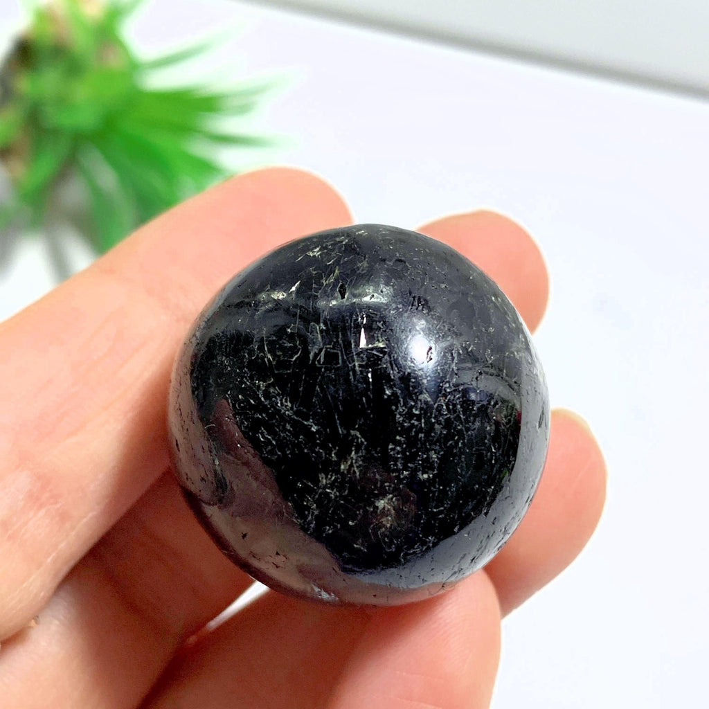 Rare Genuine Greenland Nuummite Sphere Carving #1 - Earth Family Crystals