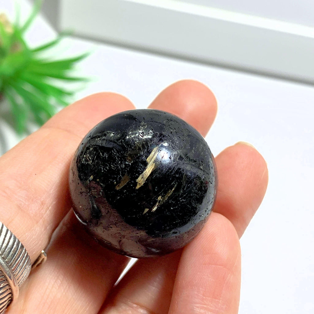 Rare Genuine Greenland Nuummite Sphere Carving #3 - Earth Family Crystals