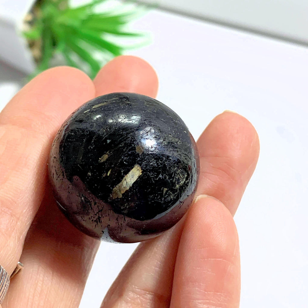 Rare Genuine Greenland Nuummite Sphere Carving #3 - Earth Family Crystals