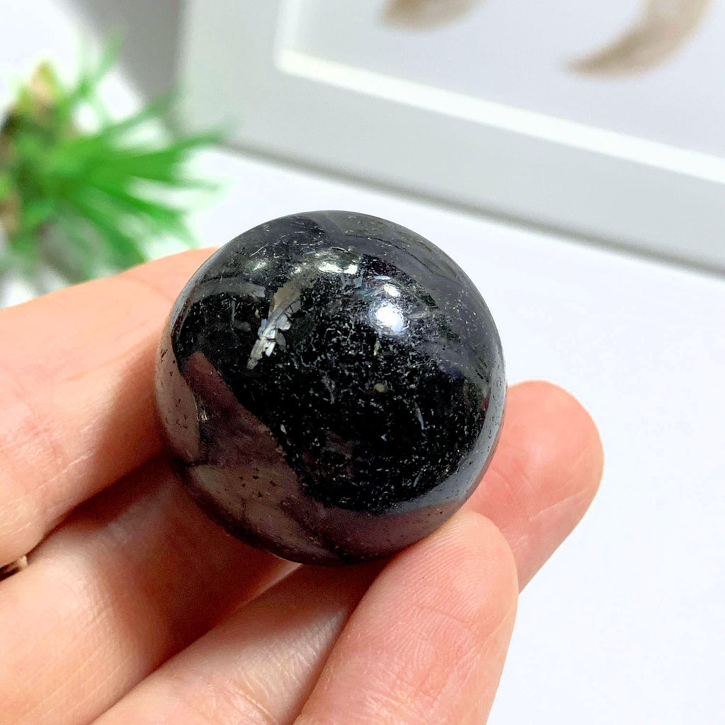 Genuine Greenland Nuummite Sphere Carving #4 - Earth Family Crystals