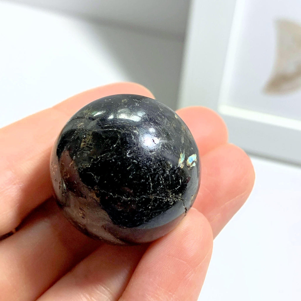 Genuine Greenland Nuummite Sphere Carving #5 - Earth Family Crystals