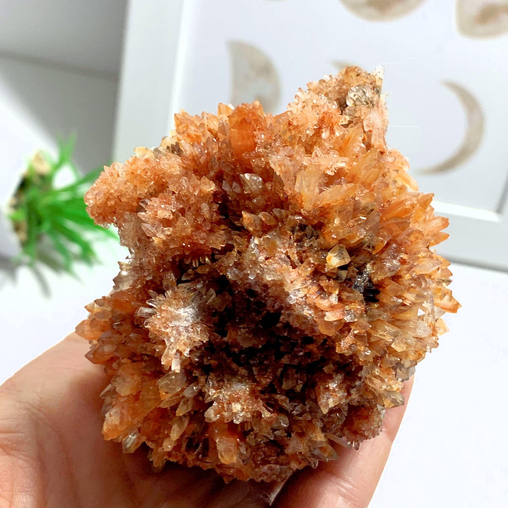 Incredible Beauty Large Orange Creedite Specimen~Locality Mexico - Earth Family Crystals