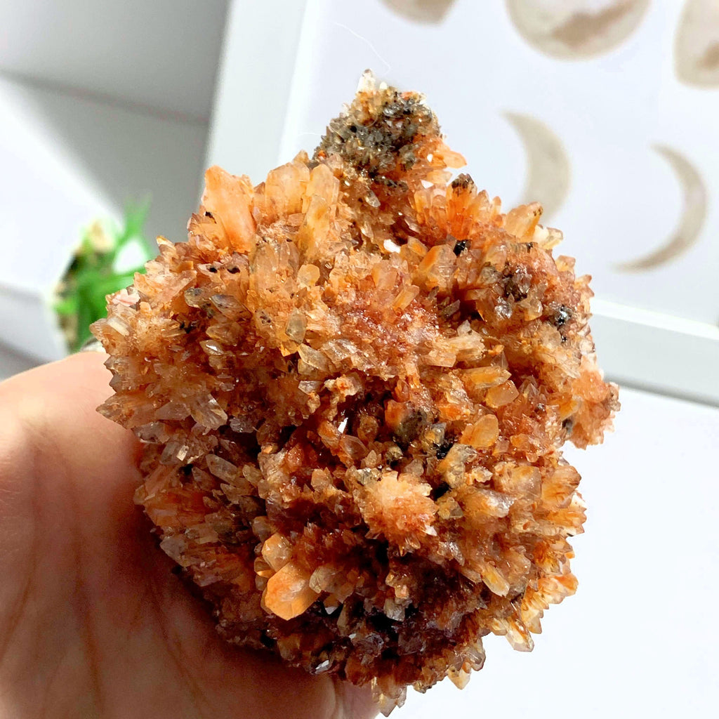 Incredible Beauty Large Orange Creedite Specimen~Locality Mexico - Earth Family Crystals