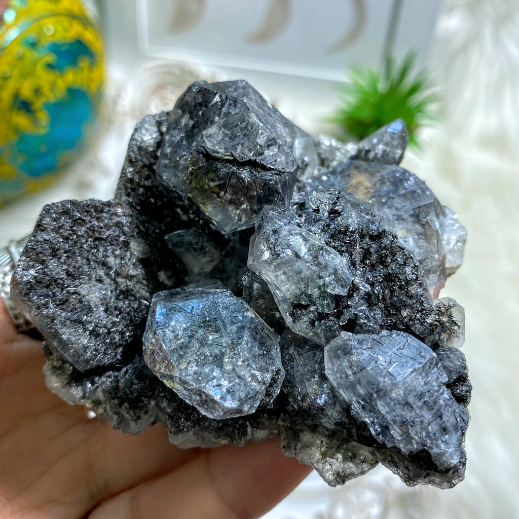 Incredible! Rare Black Samadhi Himalayan Quartz Cluster With Record Keepers - Earth Family Crystals
