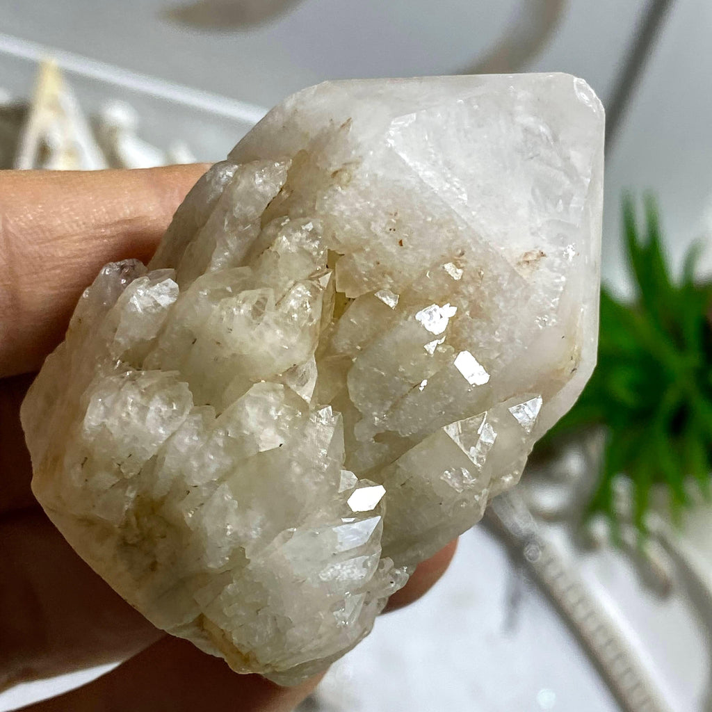 Incredible Natural Candle Quartz Standing Specimen~Locality Madagascar #3 - Earth Family Crystals
