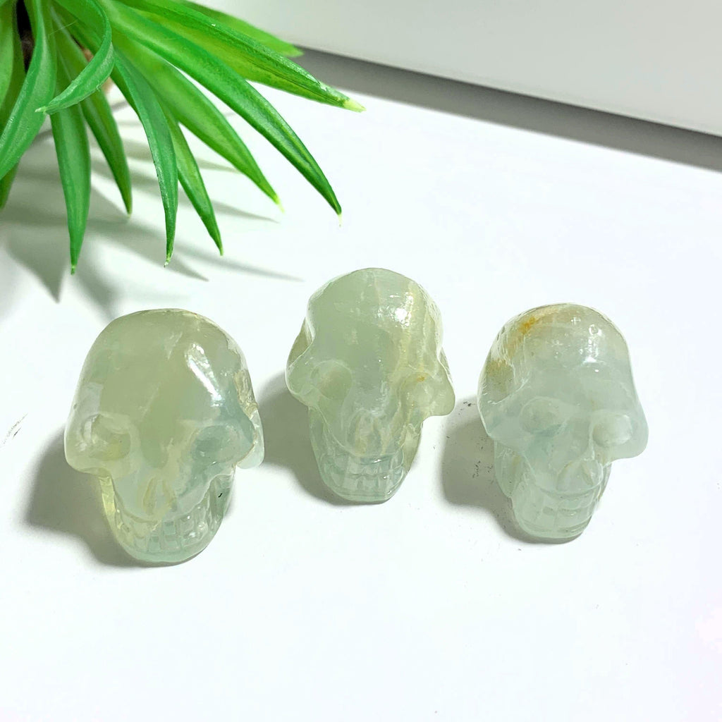 One Lemurian Aquatine Calcite Mini Crystal Skull Carving - Earth Family Crystals