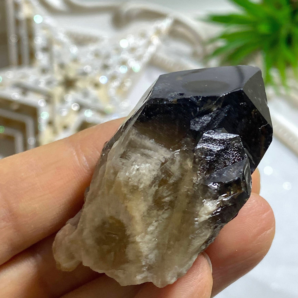 Deep Brown Smoky Quartz & Citrine Inclusions Elestial Kundalini Point - Earth Family Crystals