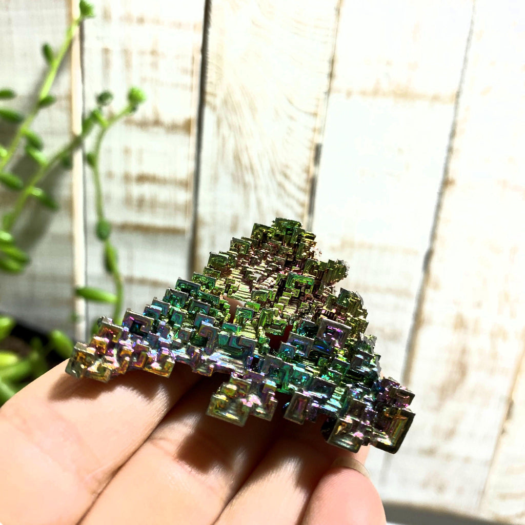 Galactic Rainbow Bismuth Specimen~Locality Germany - Earth Family Crystals