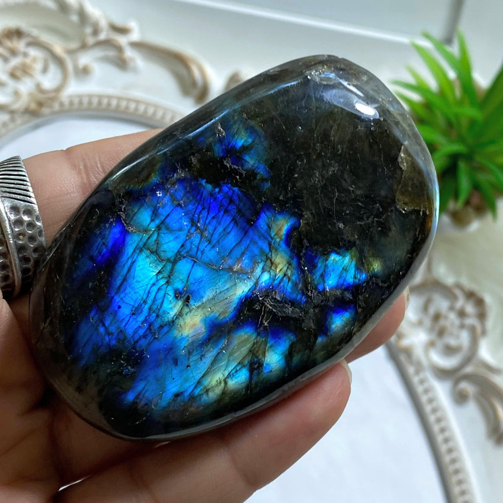 Pretty Double Sided Flash Labradorite Specimen - Earth Family Crystals