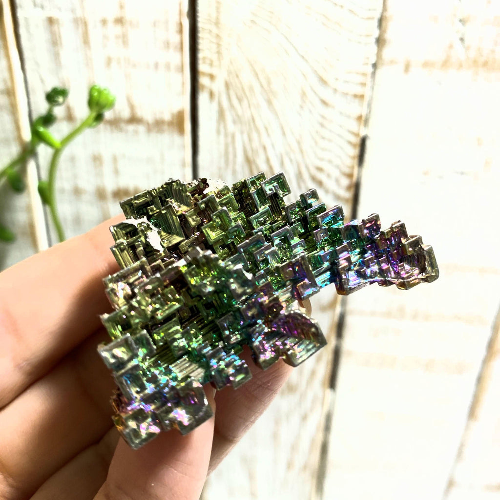 Galactic Rainbow Bismuth Specimen~Locality Germany - Earth Family Crystals