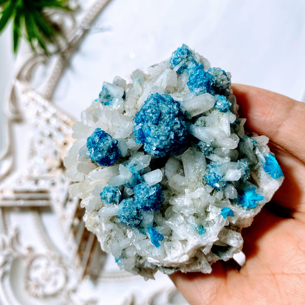 AA Grade Collectors Cavansite Crystals On Sparkly Stilbite Matrix From India - Earth Family Crystals