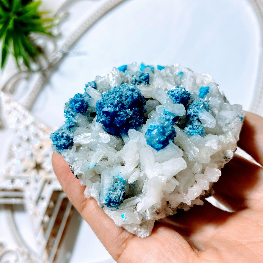 AA Grade Collectors Cavansite Crystals On Sparkly Stilbite Matrix From India - Earth Family Crystals