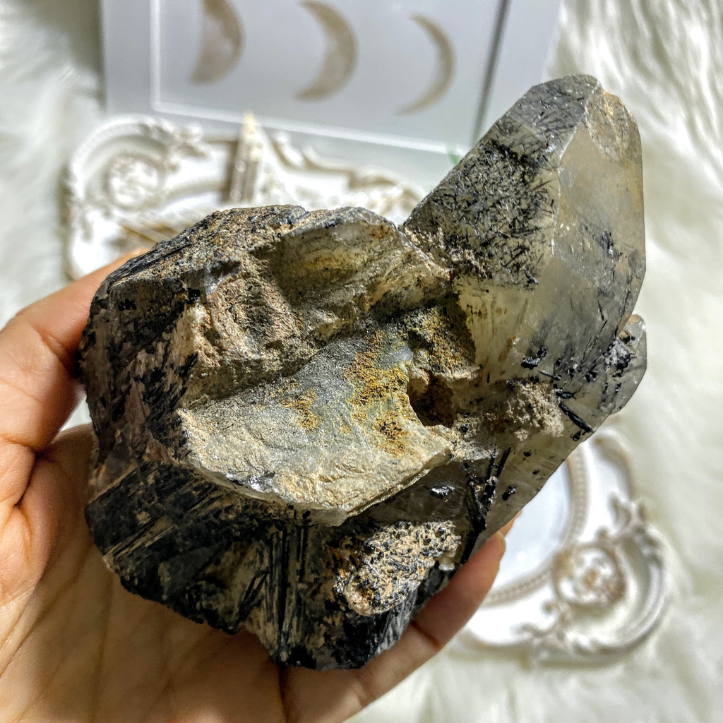 Incredible Self Standing Large Smoky Quartz & Fanned Aegirine Inclusions~ Locality Malawi, Africa - Earth Family Crystals