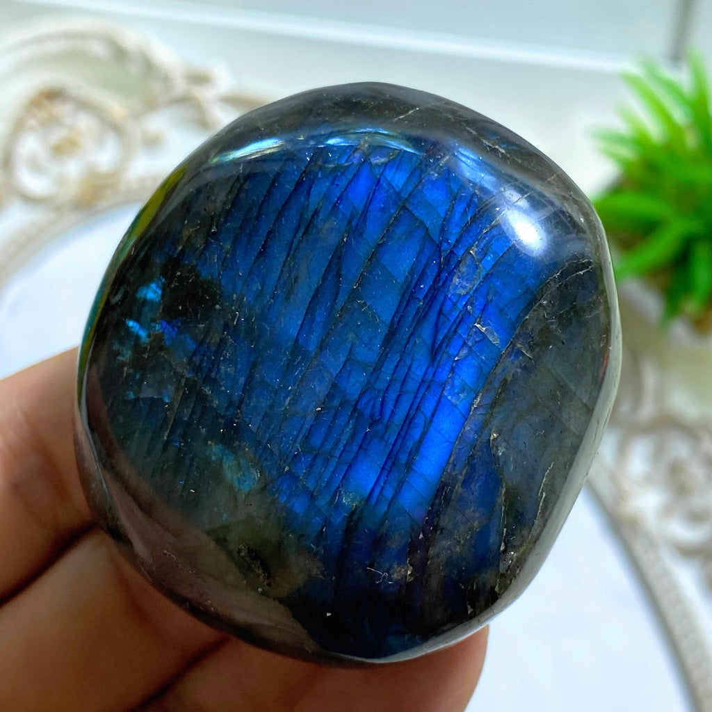 Royal Blue Flashes Labradorite Palm Stone - Earth Family Crystals