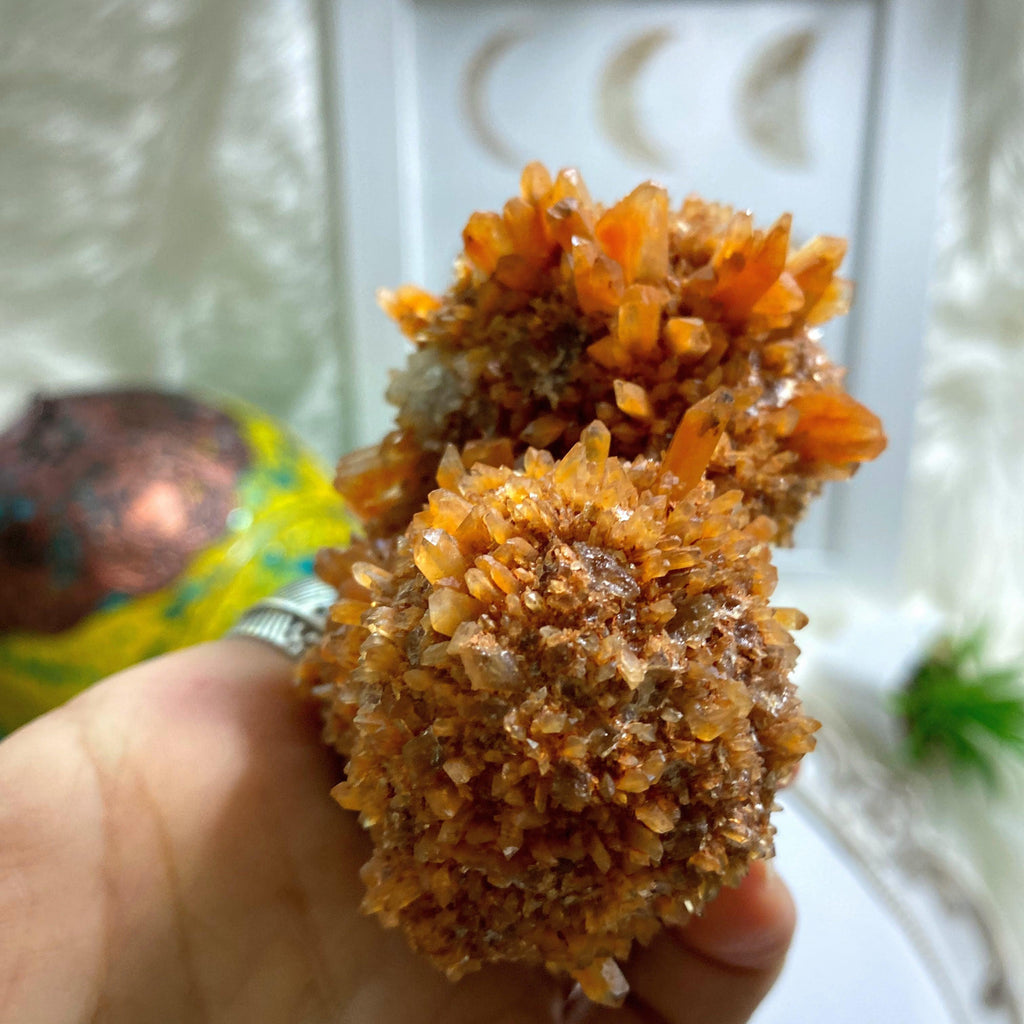 Unique & Rare Hedgehog Creedite Natural Druzy Specimen~Locality Mexico - Earth Family Crystals