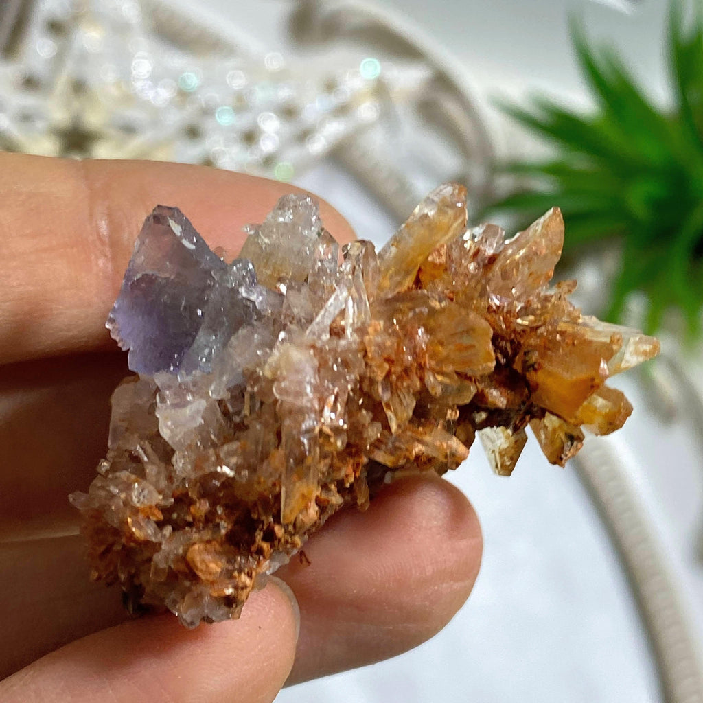Sparkling Orange Creedite Small Natural Specimen With Fluorite Inclusions-Locality Mexico - Earth Family Crystals