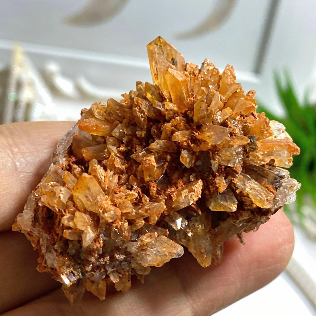 Sparkling Orange Creedite Medium Natural Specimen -Locality Mexico - Earth Family Crystals