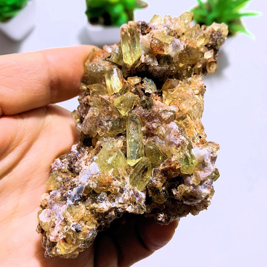 Incredible Power Packed Golden Apatite Loaded Cluster From Mexico - Earth Family Crystals