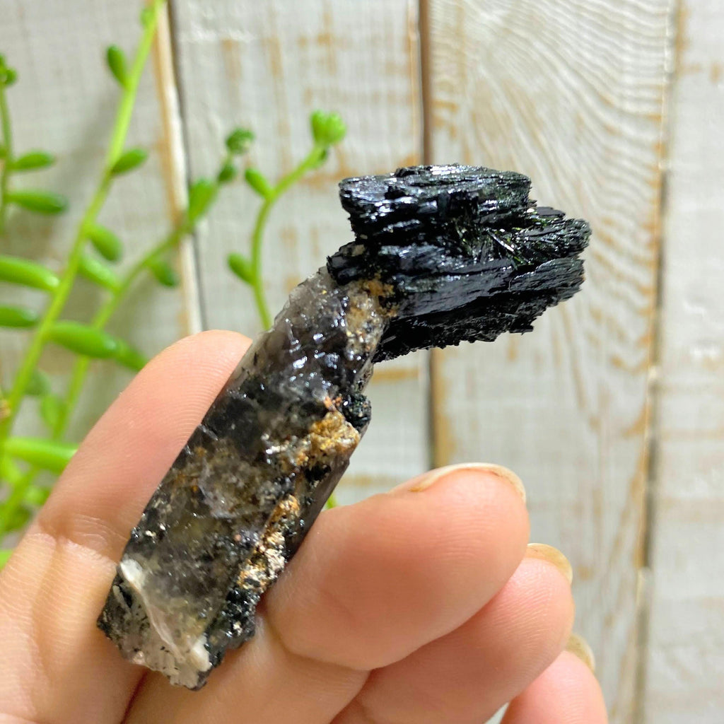 Unique Collectors Aegirine On Smoky Quartz Point Specimen~Locality: Malawi, Africa - Earth Family Crystals