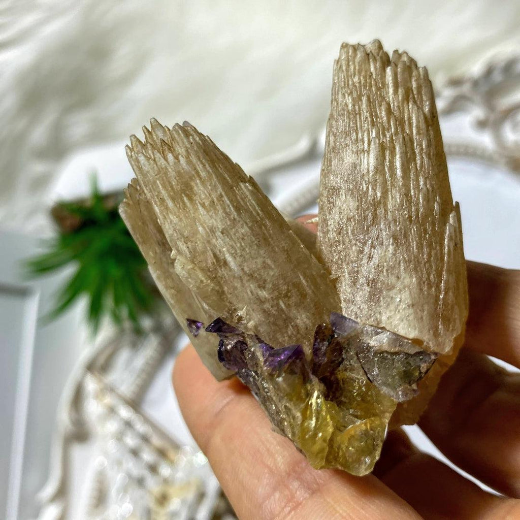 Very Rare old Collection Calcite flowers With Fluorite Inclusions from Cave-in-Rock Illinois - Earth Family Crystals