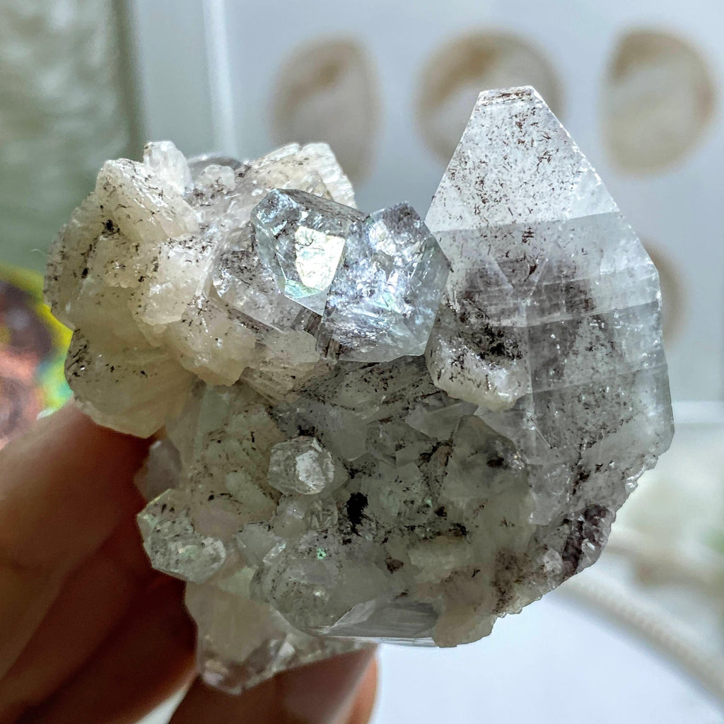 Rare Burgundy Included Apophyllite With Stilbite Flowers ~Locality India - Earth Family Crystals