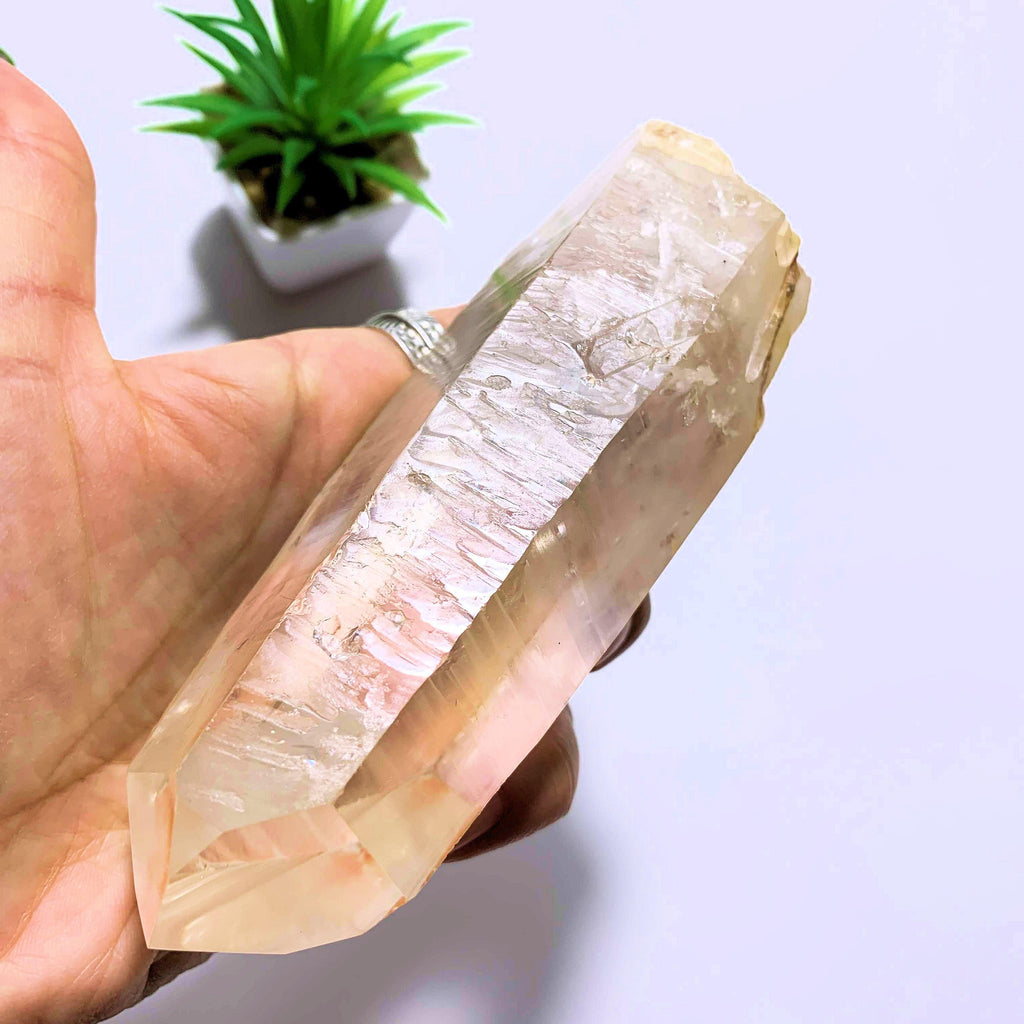 Natural Barcode Etching~Golden Healer Large Lemurian Quartz Point from Brazil - Earth Family Crystals