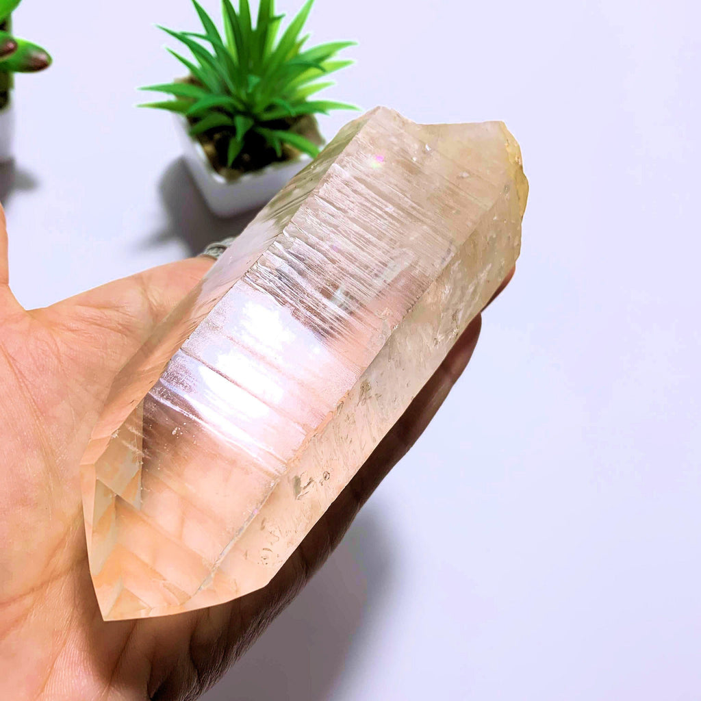 Natural Barcode Etching~Golden Healer Large Lemurian Quartz Point from Brazil - Earth Family Crystals