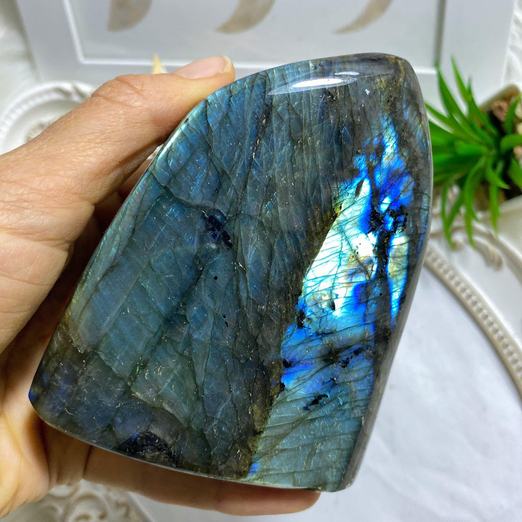Mysterious Flashes Labradorite Standing Display Specimen *REDUCED - Earth Family Crystals